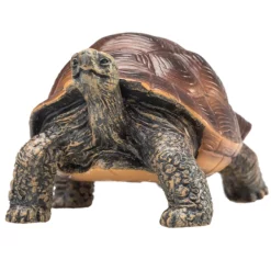 Besttoy - Riesenschildkröte - Spielfigur -Outlet INTEX Store 239255 5031923872592 moj besttoy riesenschildkrte 05