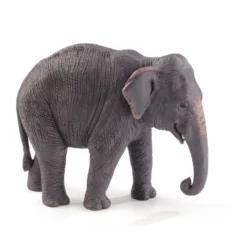 Besttoy Wildlife - Asiatischer Elefant - Spielfigur 387266